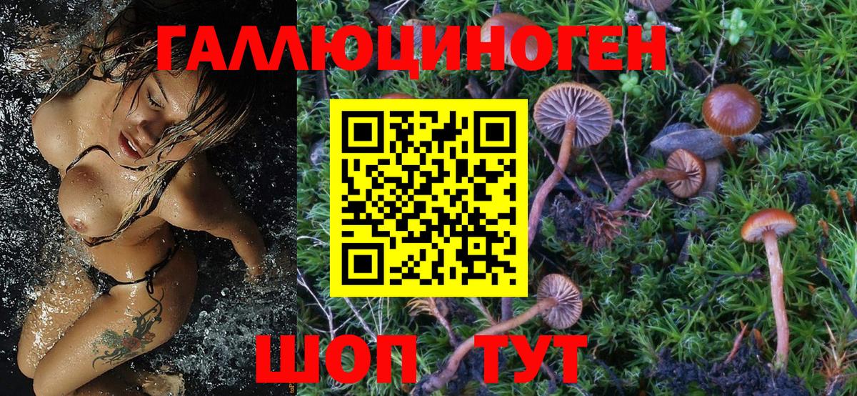 Псилоцибиновые грибы Psilocybe  Галлюциногенные грибы мицелий  Вход с VPN  Димитровград 