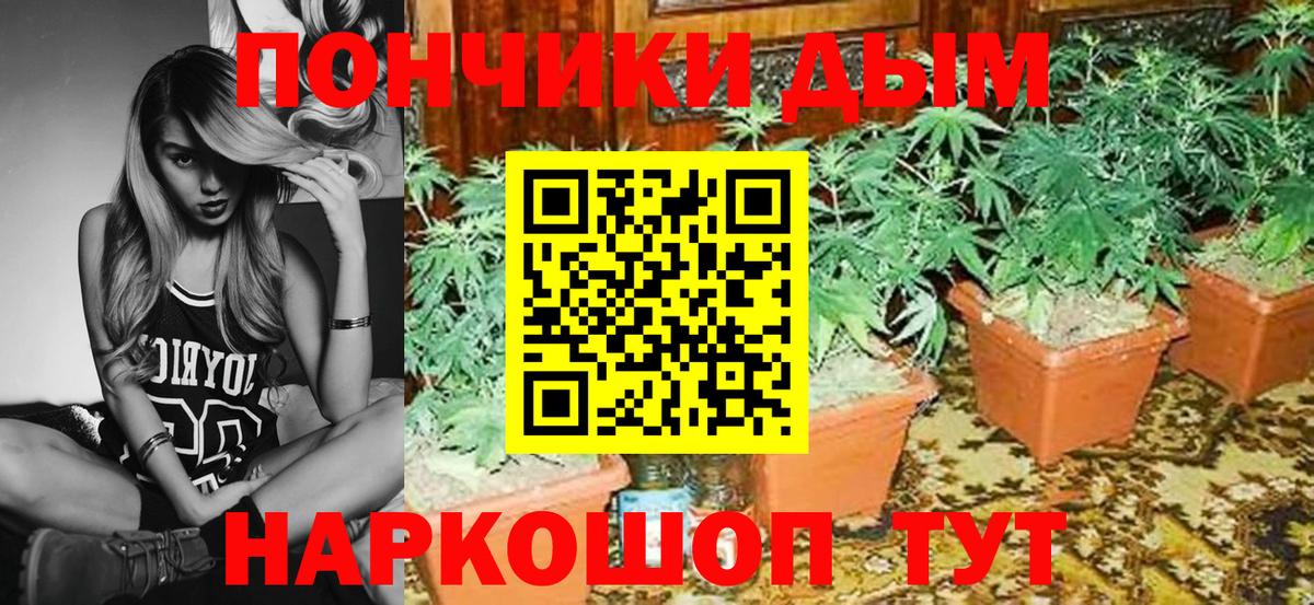 МАРИХУАНА тримм  Бошки марихуана LSD WEED  Вход с VPN  Канабис конопля  Димитровград  Марихуана план 